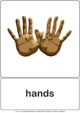 Bildkarte - hands.pdf